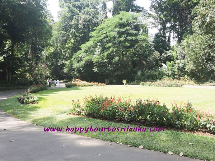 Peradeniya Botanical Garden