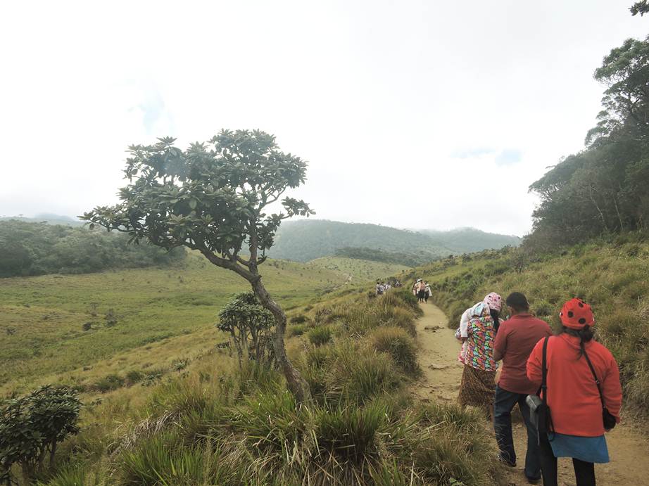 trekking in sri lanka