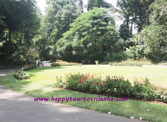 Peradeniya Botanical Garden