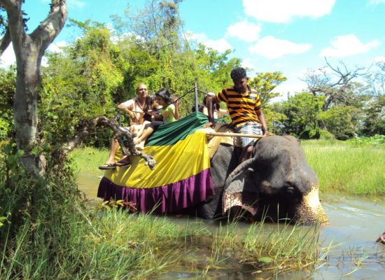 elephant back safari sri lanka
