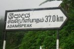 lanka language