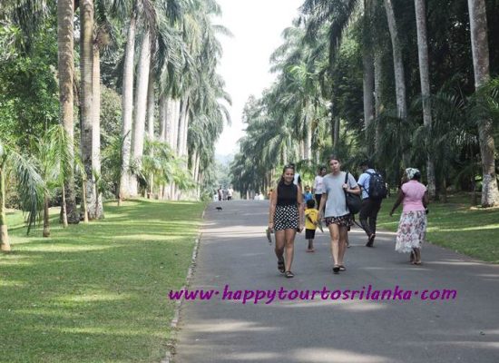 peradeniya garden